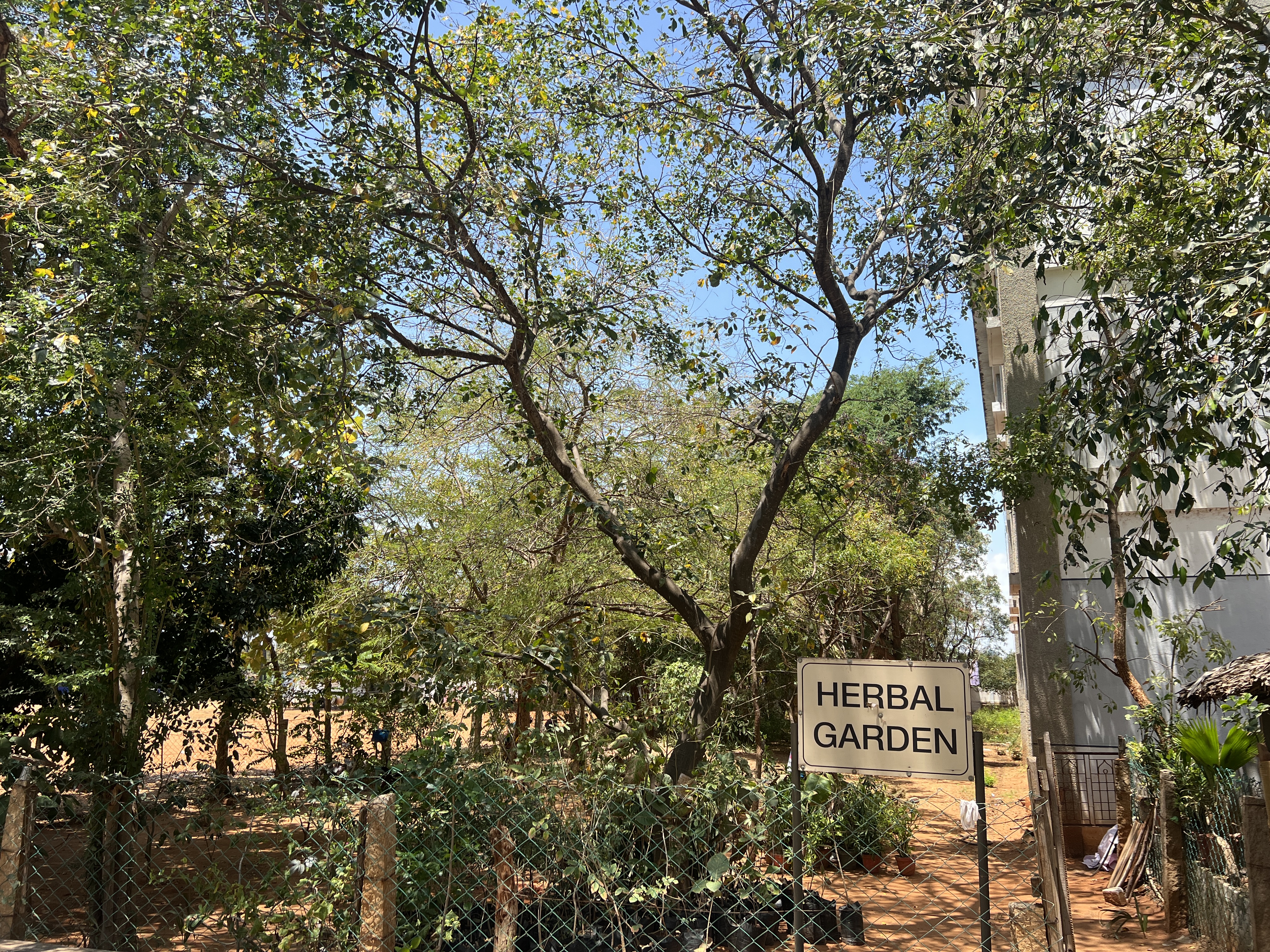 Herbal Garden